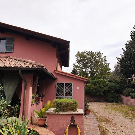 Il Ninfeo " Le Cocon" Appartamento Zagarolo Exterior foto